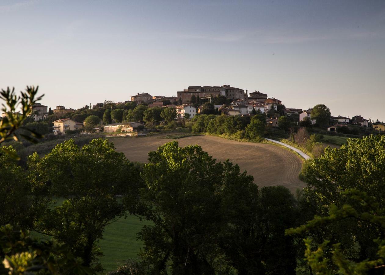 Grande Villa Storica Per Vacanze Con Giardino Privato E Piscina Ostra Екстер'єр фото