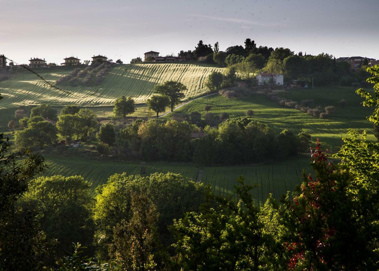 Grande Villa Storica Per Vacanze Con Giardino Privato E Piscina Ostra Екстер'єр фото