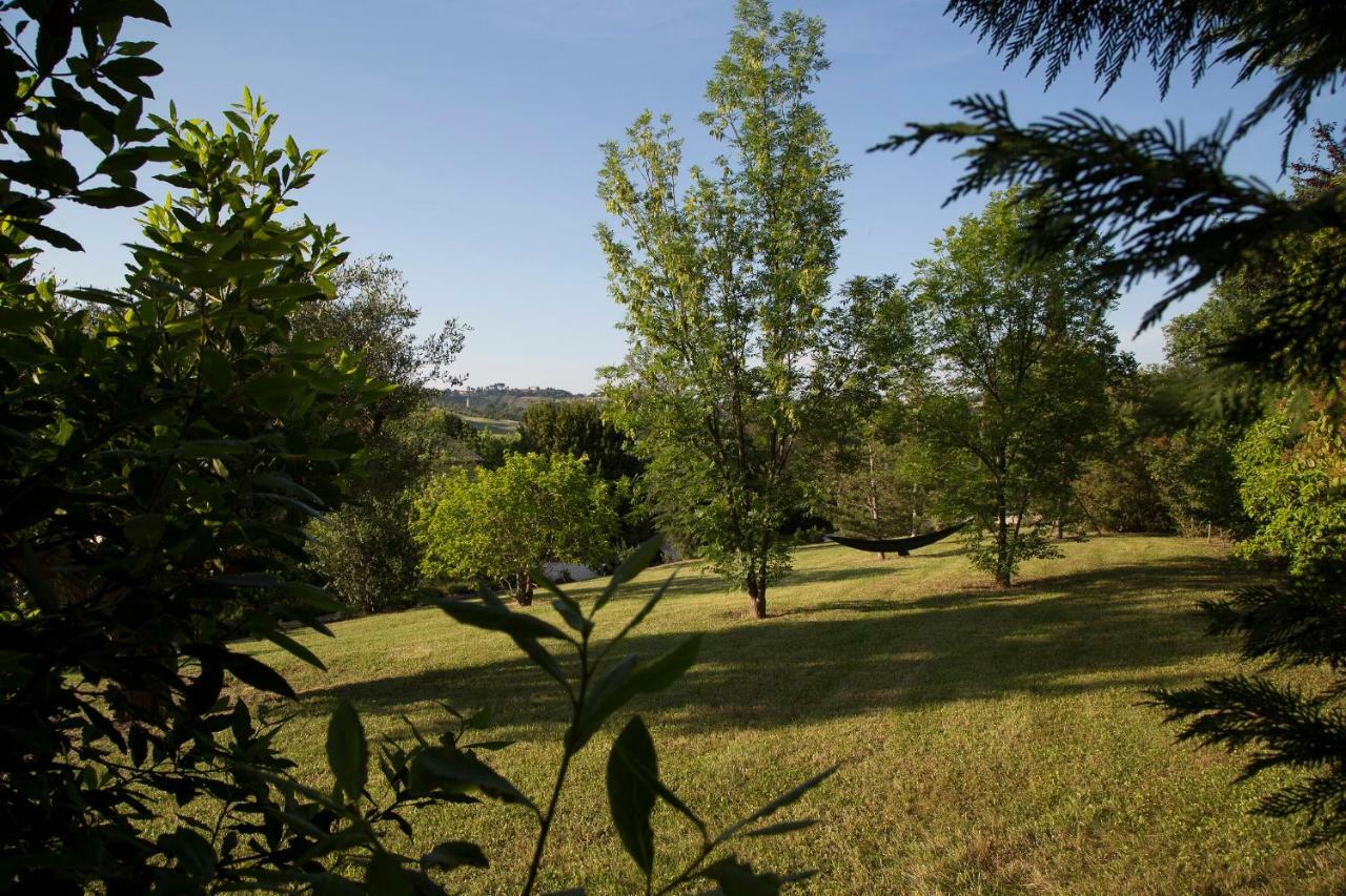 Grande Villa Storica Per Vacanze Con Giardino Privato E Piscina Ostra Екстер'єр фото