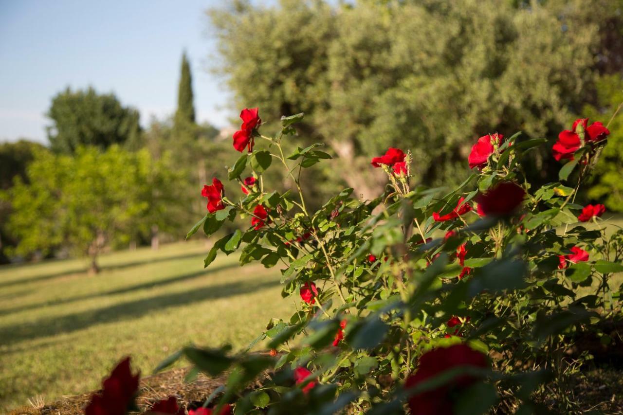 Grande Villa Storica Per Vacanze Con Giardino Privato E Piscina Ostra Екстер'єр фото